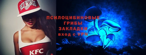PSILOCYBIN Алексеевка