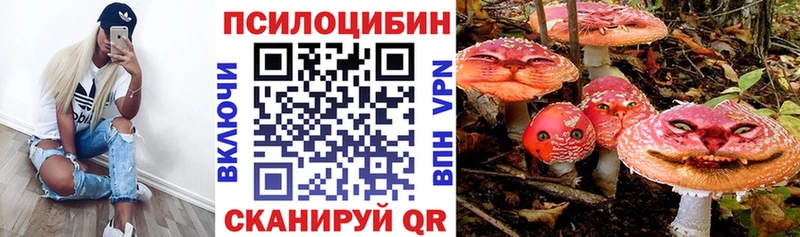 цена наркотик  Байкальск  Галлюциногенные грибы MAGIC MUSHROOMS 